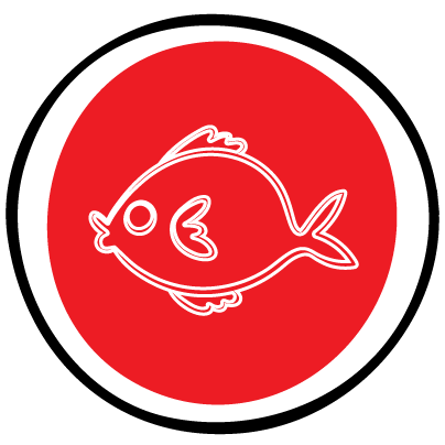 Fish Fish
