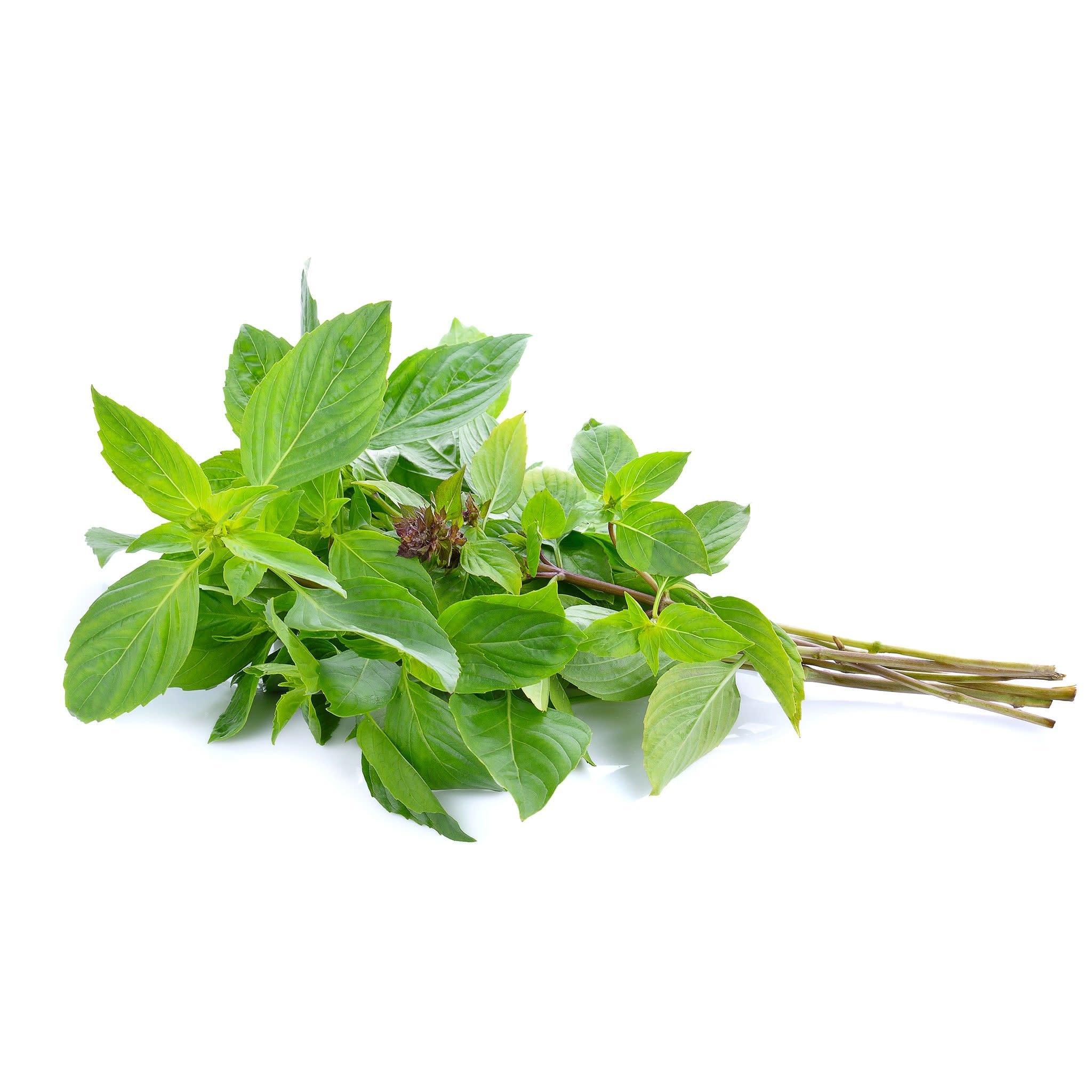 Sweet Basil (Thai Basil) ใบโหระพา 100g
