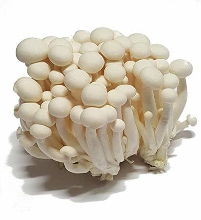 White Shimeji Mushroom 150g