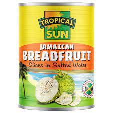 Tropical Sun Breadfruit 540g