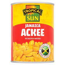 TS ACKEE 540g