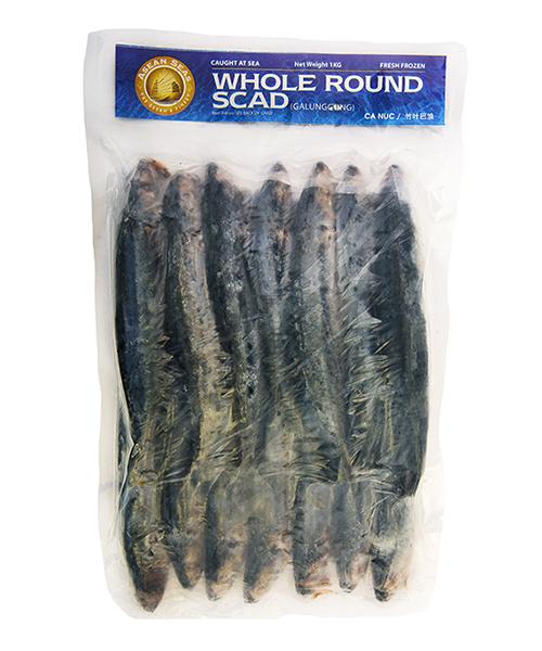 ASEAN SEAS Frozen Whole Round Scad (Galunggong)